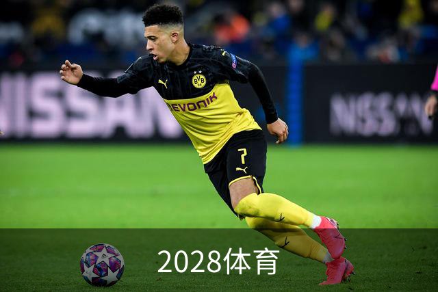2028体育